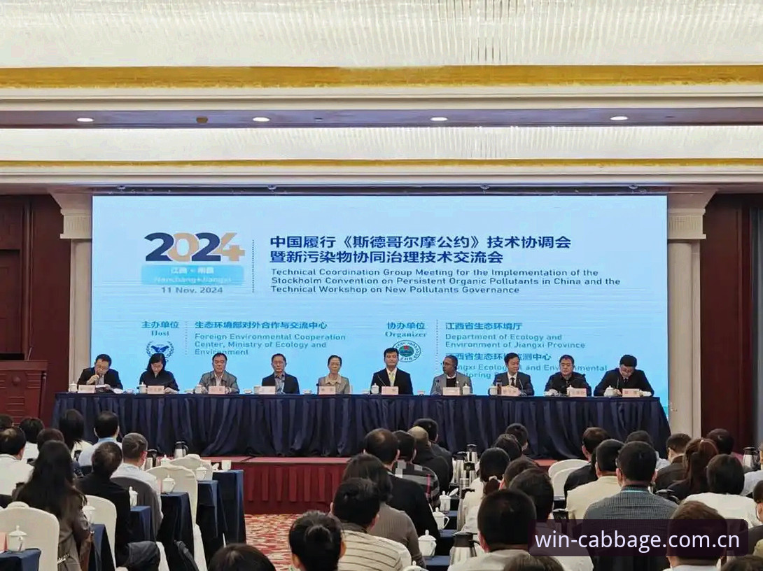 揭秘：冠彩网论坛2024推荐背后的技术真相，你不一定知道的选站依据